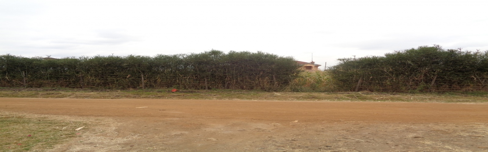 Karuguru, Ruiru, ,Land,For Sale,Karuguru,1031