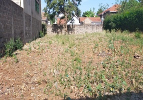 1st South Avenue, Kahawa Sukari, ,Land,For Sale,1st South Avenue,1036