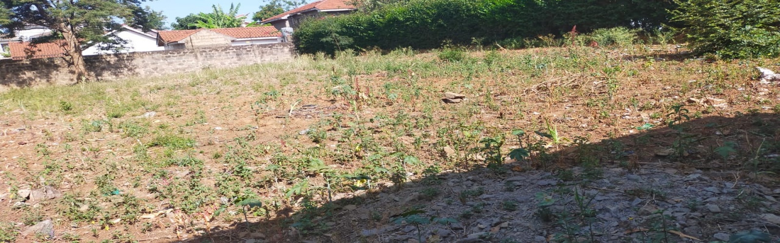 1st South Avenue, Kahawa Sukari, ,Land,For Sale,1st South Avenue,1036