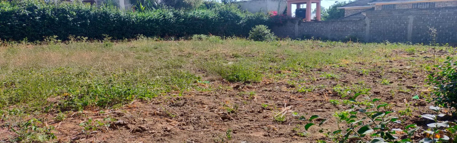 1st South Avenue, Kahawa Sukari, ,Land,For Sale,1st South Avenue,1036