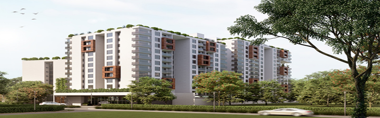 Roysambu, Nairobi, 1 Bedroom Bedrooms, 2 Rooms Rooms,1 BathroomBathrooms,Apartment,For Sale,365 Pavilion Place,1008